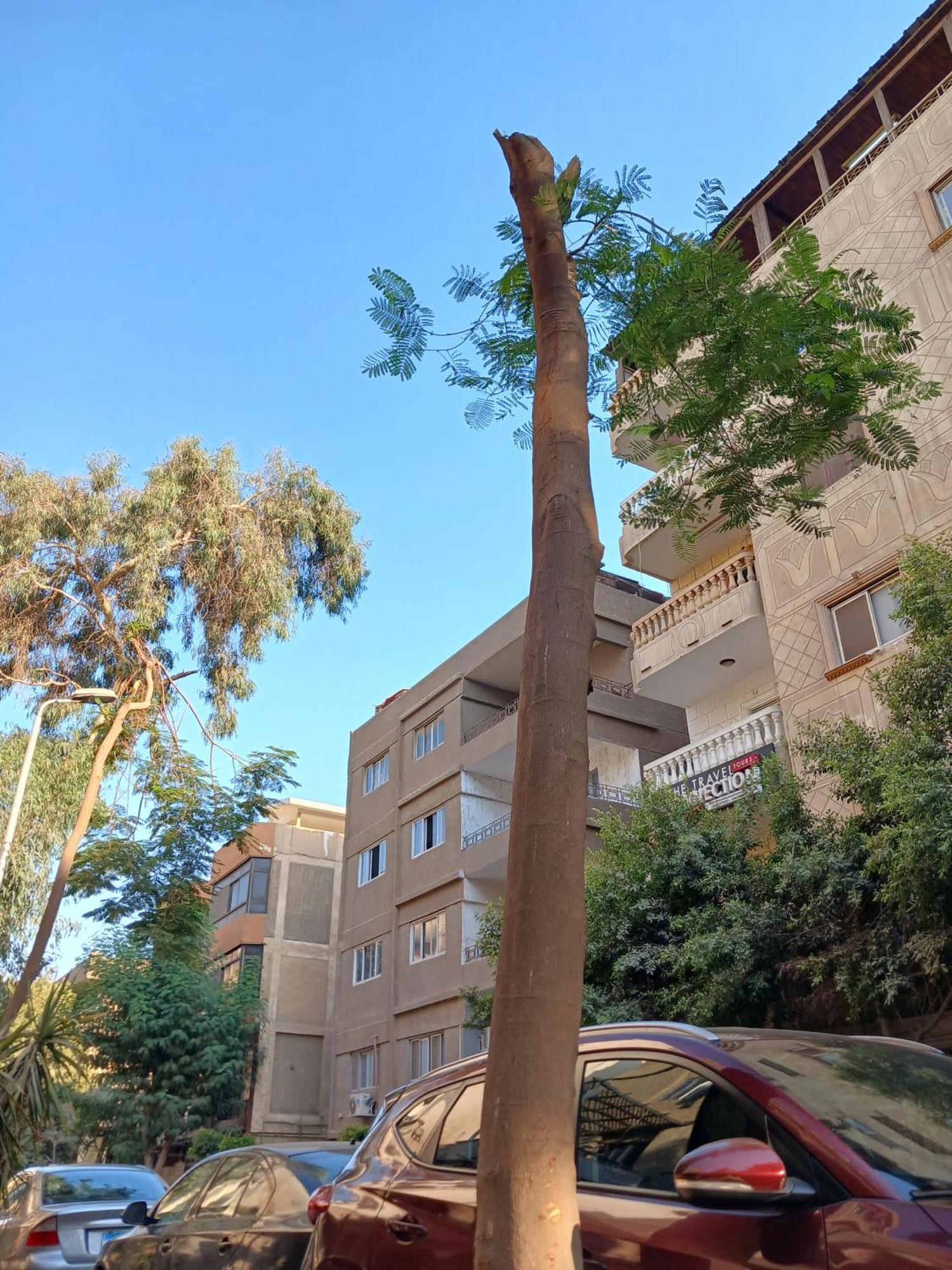 Pyramids Way Inn Kafret el-Gabal エクステリア 写真